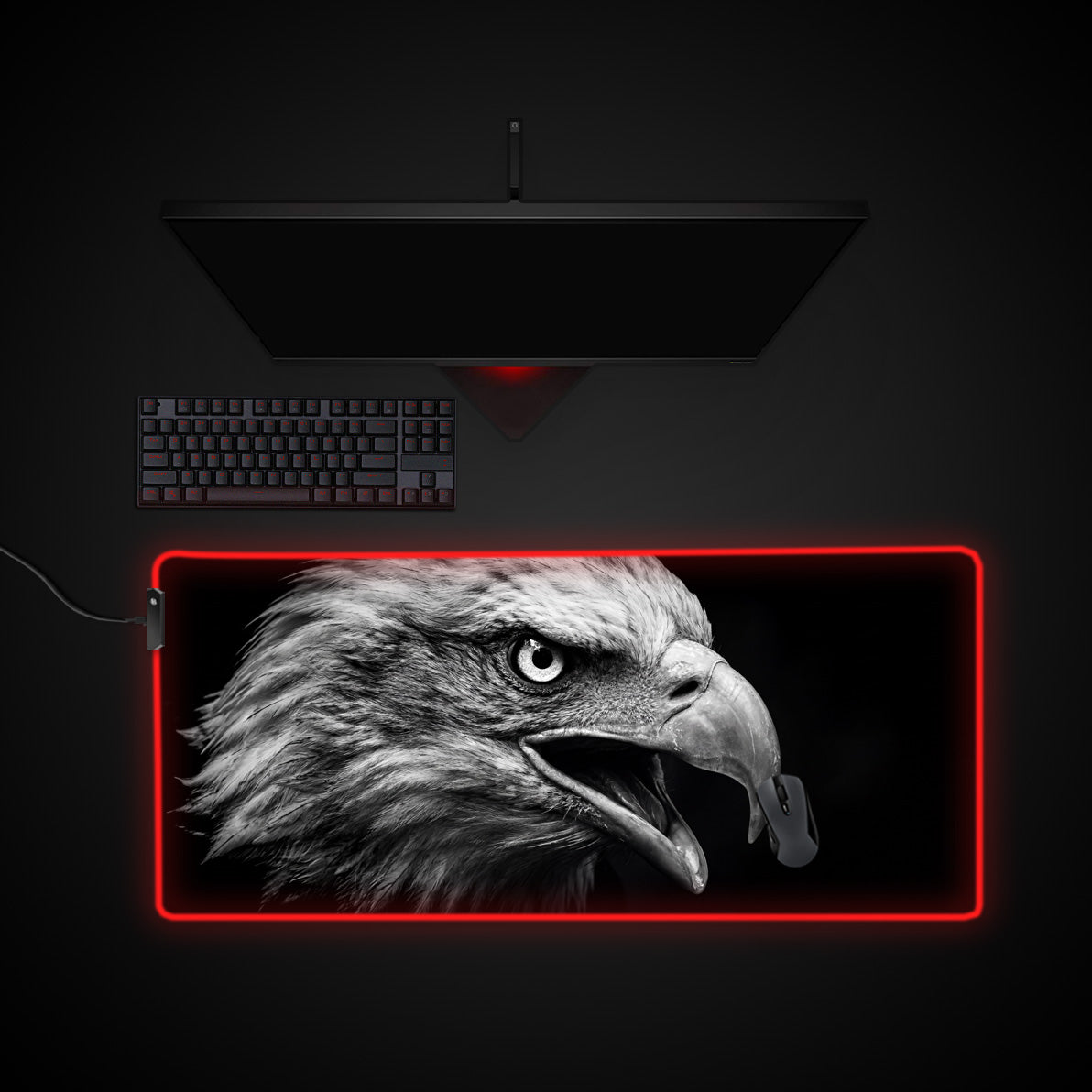 Apex Vision desk mat with RGB edge lighting