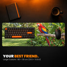 Large Custom Gaming Desk Pad - example: a photo of a parrot in a garden