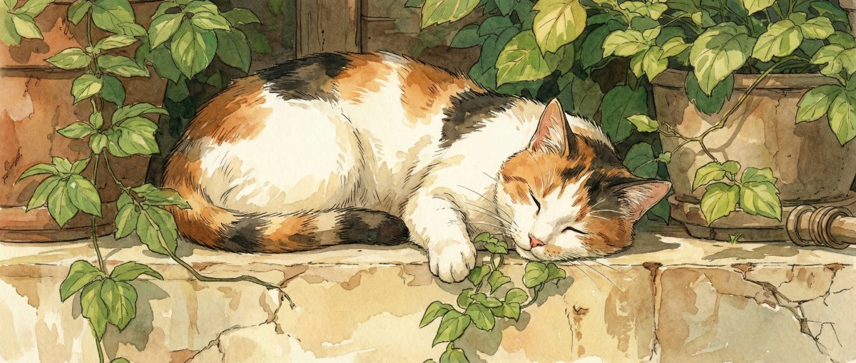 Preview of the selected desk mat design